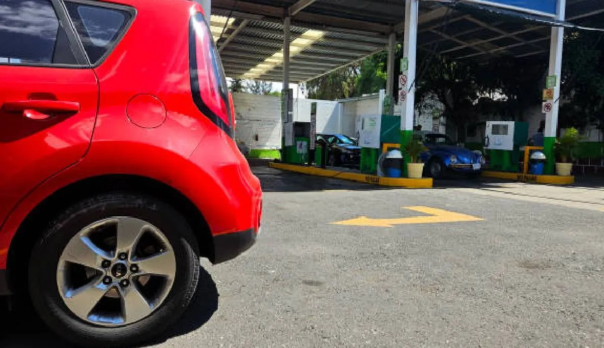 Todos aquellos que poseen un vehículo deben cumplir con el programa|iStock