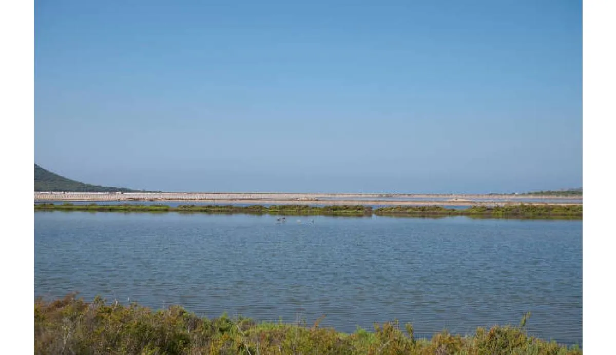 El video fue grabado en el sistema dunar de S’Espalmador, ubicado en el Parque Natural de Ses Salines, en Ibiza|iStock