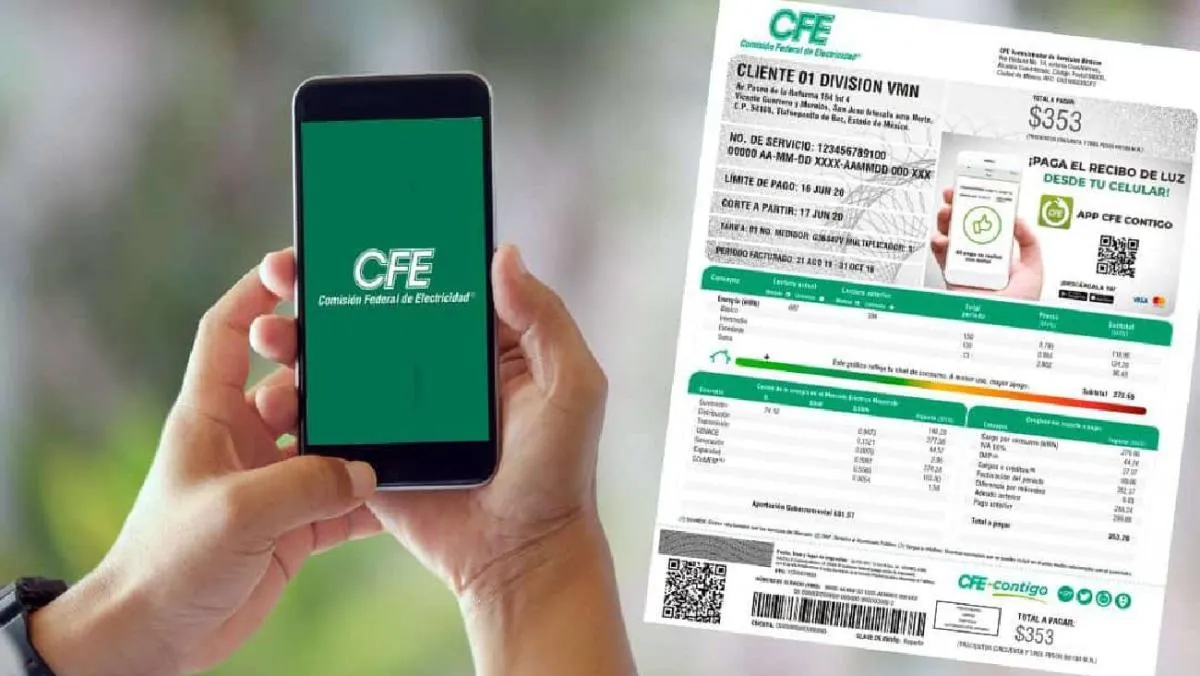 CFE como el INAPAM confirmaron que se trata de información falsa. / RS