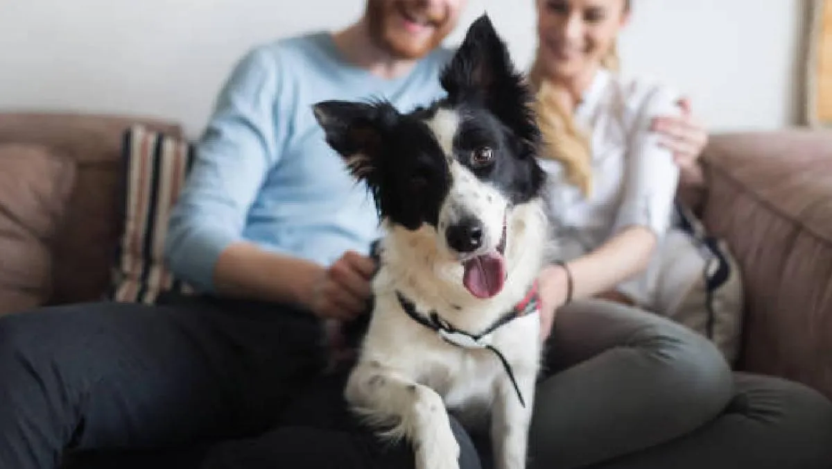 . La votación fue unánime, con 57 votos a favor y ninguno en contra. / Pixabay