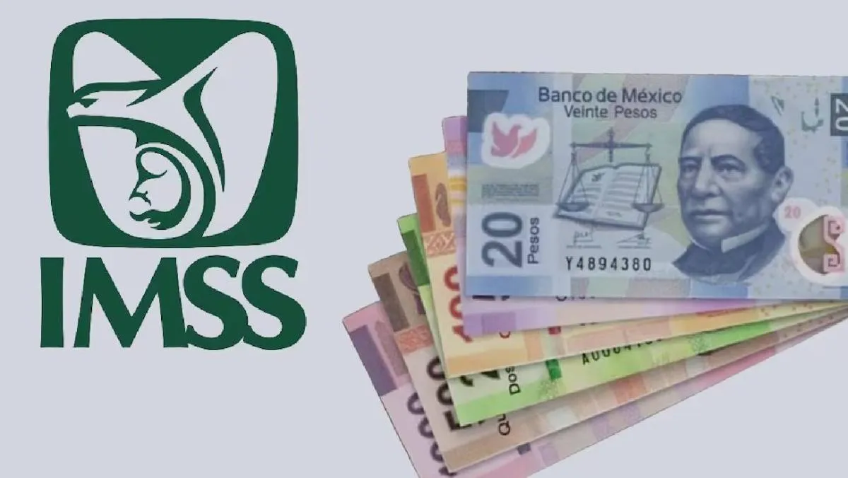 En ausencia de ellos, aplica la ayuda asistencial del 15 %./ RS