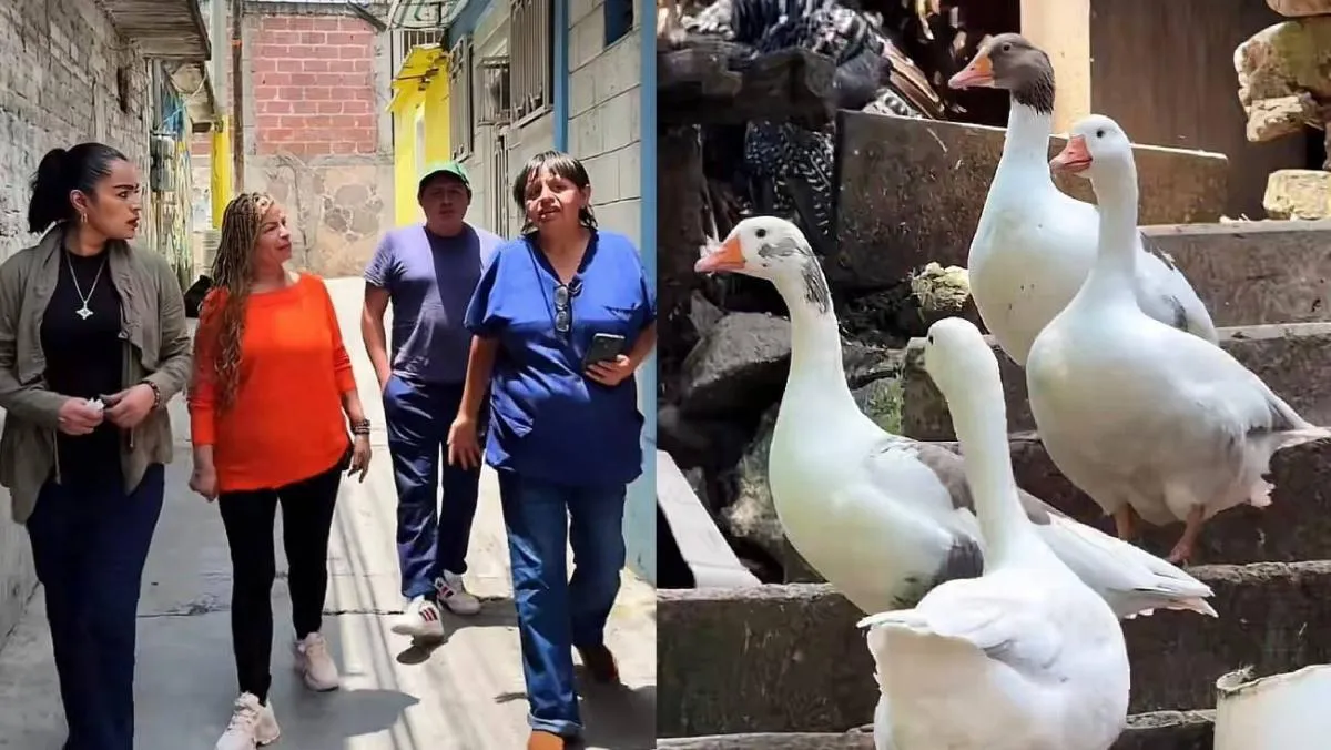 El donativo fue destinado al Albergue Pergatuzoo, el centro de rescate animal más grande de México | FB