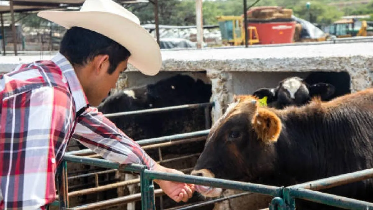 El caso fue confirmado oficialmente por los Centros para el Control y la Prevención de Enfermedades. / Pixabay