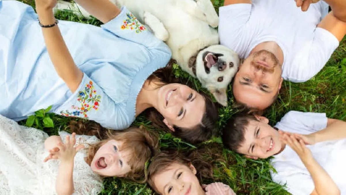 A nivel mundial, asociaciones, refugios y gobiernos aprovechan la fecha para organizar actividades. / Pixabay