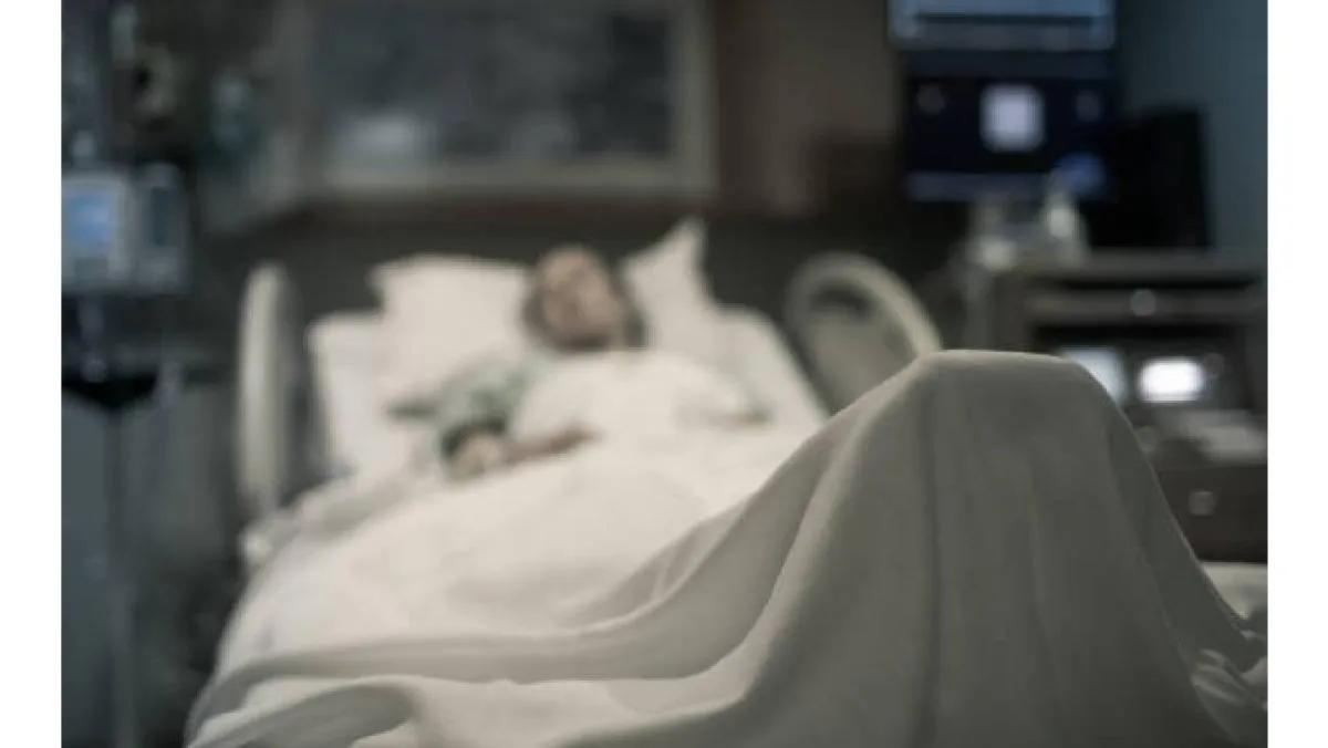 Las autoridades de salud reiteraron la importancia de la prevención y atención oportuna ante mordeduras de animales/iStock