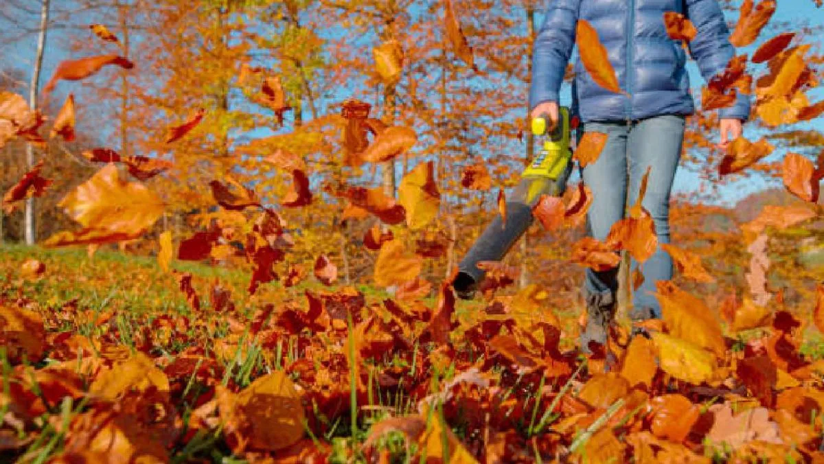 A partir de ese momento, los días comenzarán a acortarse y las noches a alargarse. / Pixabay