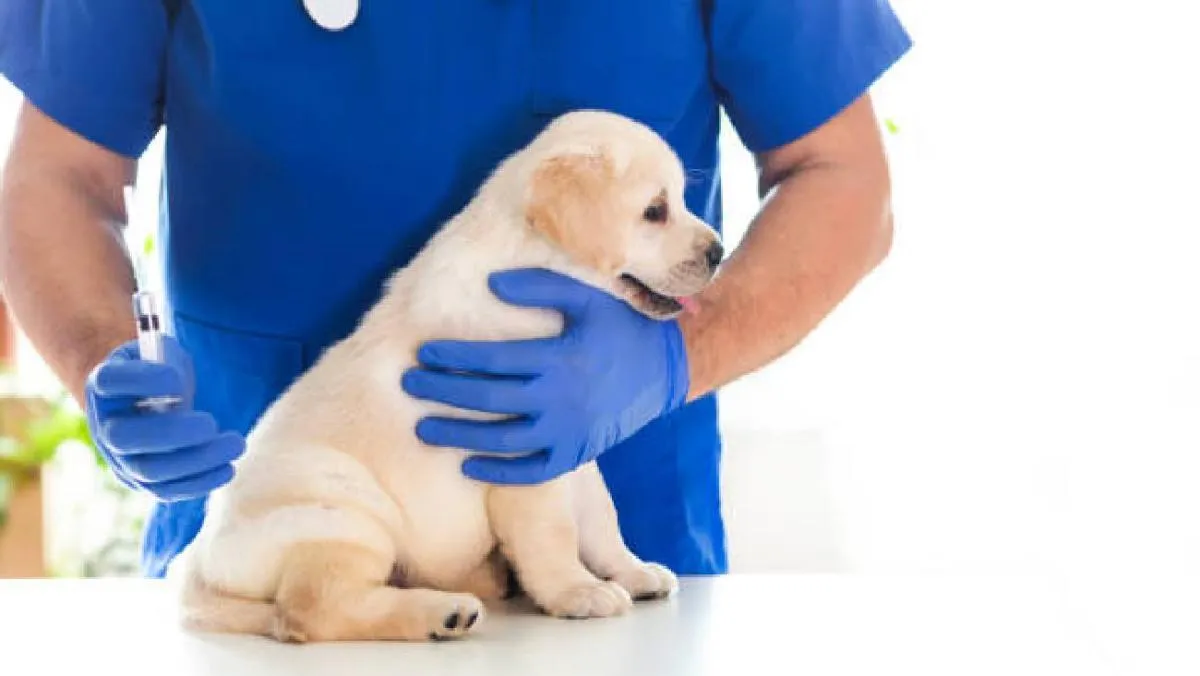 El centro se encuentra en la alcaldía Venustiano Carranza/iStock