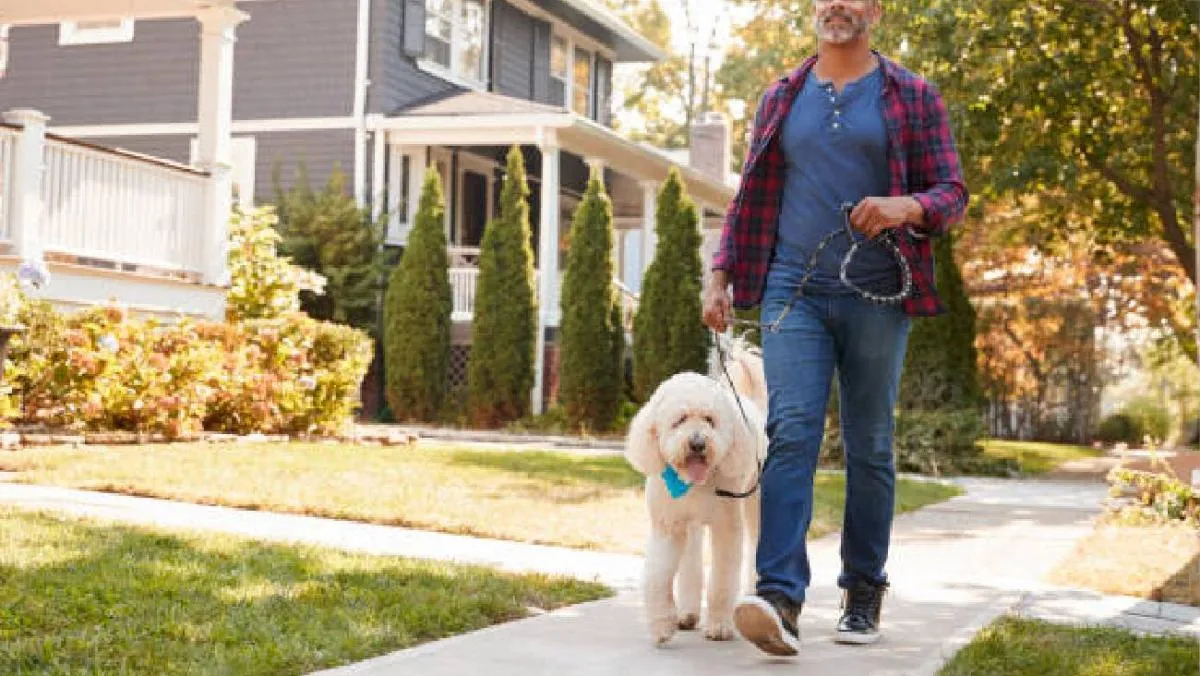 No olvides que ellos también son parte de la familia/iStock