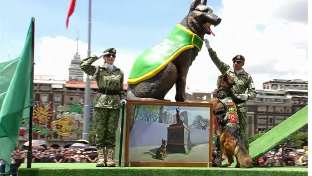 Binomios caninos participaron en el Desfile Cívico-Militar 2025, mostrando el adiestramiento y disciplina. / Captura de pantalla