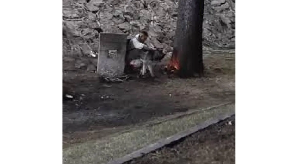 La historia rápidamente se viralizó en plataformas digitales, donde cientos de usuarios llamaron al husky “perrito héroe”. / RS