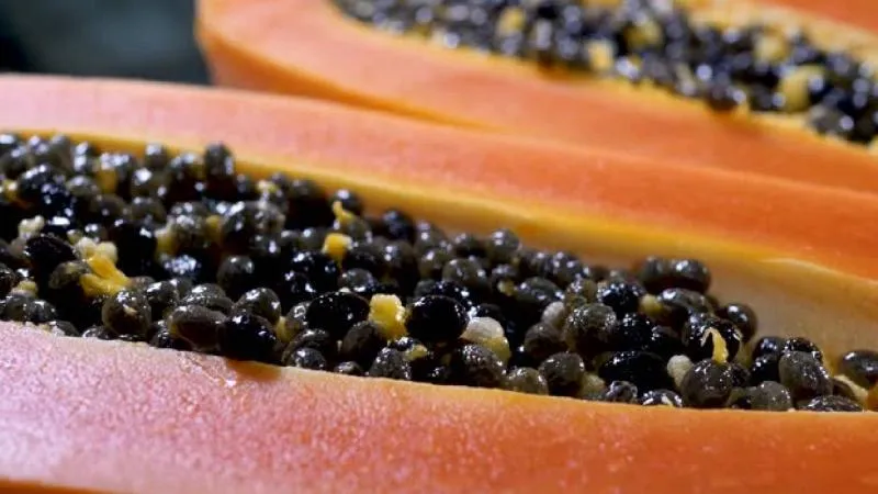 Consumir semillas de papaya también puede favorecer la desintoxicación del hígado. / Pixabay