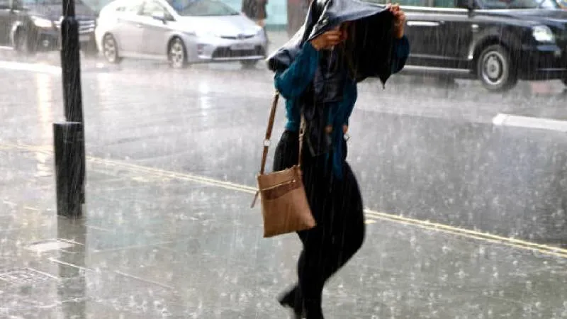 Además, sugirió tener precaución por la caída de ramas, lonas o anuncios espectaculares debido a las ráfagas de viento. / Pixabay