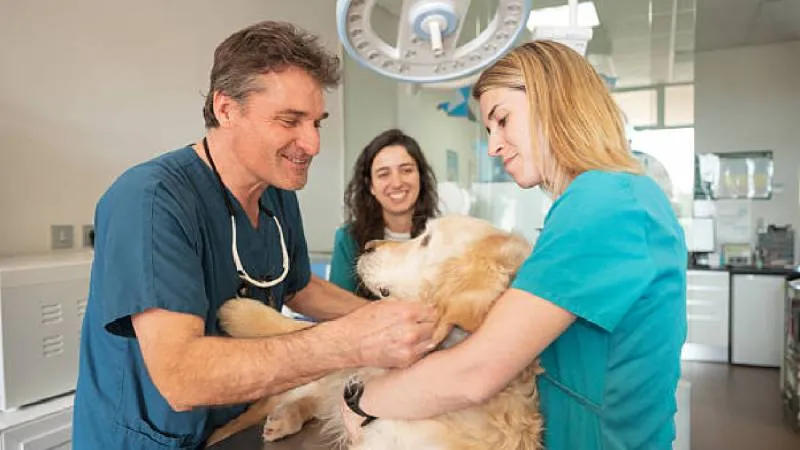 La rapamicina es un medicamento tradicionalmente utilizado como inmunosupresor en trasplantes y en ciertos tipos de cáncer. / Pixabay