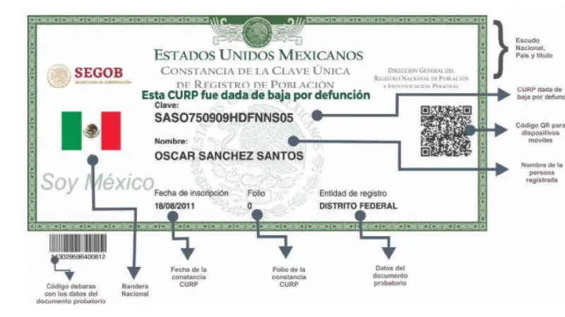 De acuerdo con especialistas en gestión de registros civiles, que una CURP permanezca activa no significa necesariamente que una persona esté viva. / Captura de pantalla