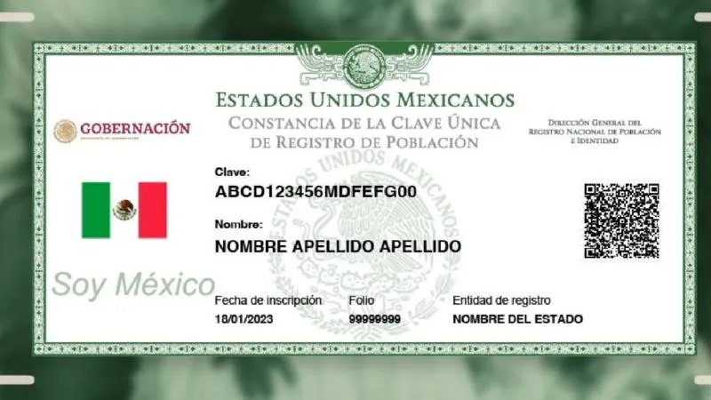 Los interesados deben ingresar al portal del Registro Nacional de Profesionistas, autenticar su identidad mediante CURP./ X