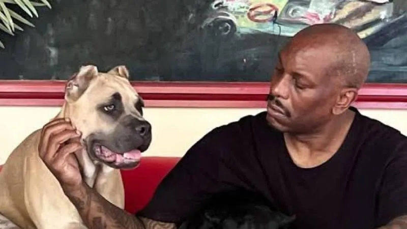Tyrese Gibson, reconocido por su papel en la saga Rápidos y Furiosos, fue acusado de crueldad animal y se entregó voluntariamente a las autoridades. / X