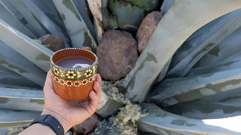 Se espera la asistencia de visitantes provenientes de distintos puntos del Estado de México. / Pixabay