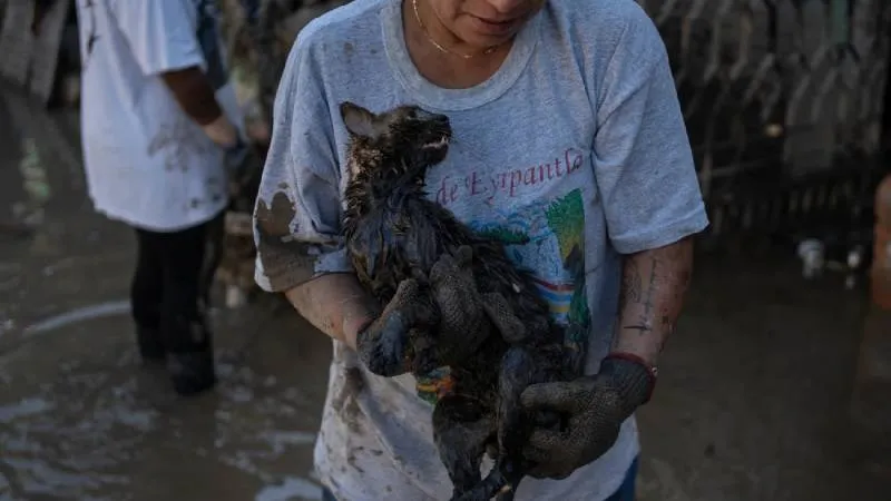 En algunas regiones, como Tuxpan y Poza Rica, las rutas se ajustaron para garantizar seguridad y logística. / AP