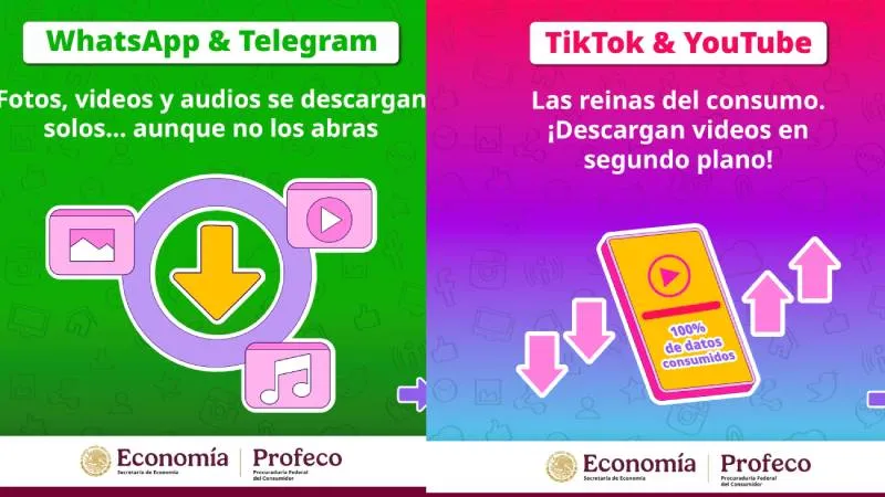 Según Profeco, aplicaciones populares como TikTok, YouTube, Instagram y Facebook son las principales responsables del consumo excesivo de datos. / PROFECO