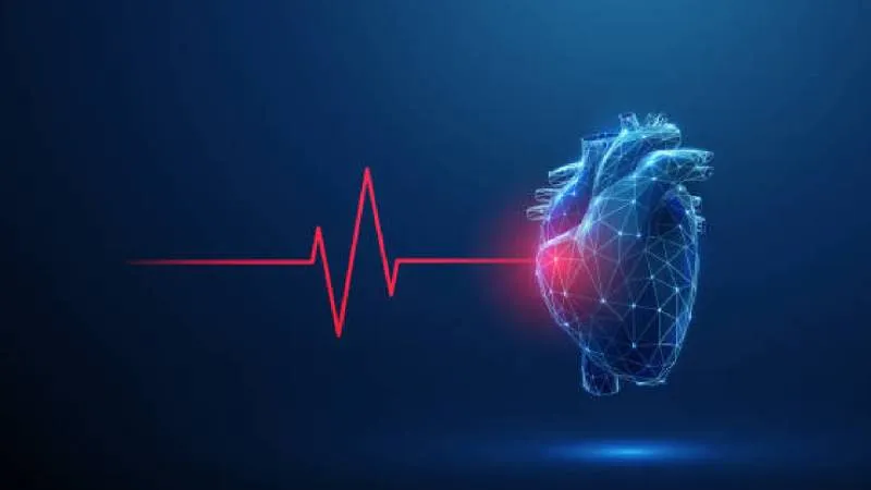 Una cardiopatía es un término médico que hace referencia a cualquier enfermedad o alteración del corazón. / Pixabay