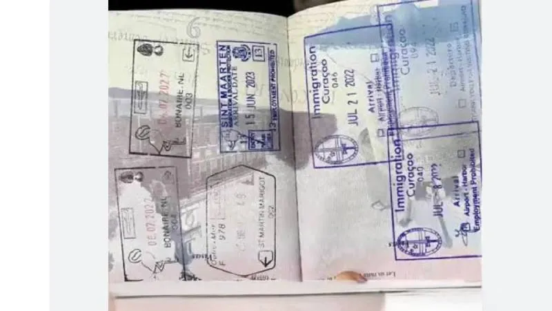 El video no fue grabado en 2025 ni en el aeropuerto JFK: pertenece a un episodio de la serie estadounidense Airline. / RS