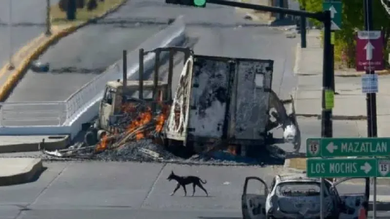 La inseguridad reduce inversiones, frena el turismo y deteriora la confianza social. / RS