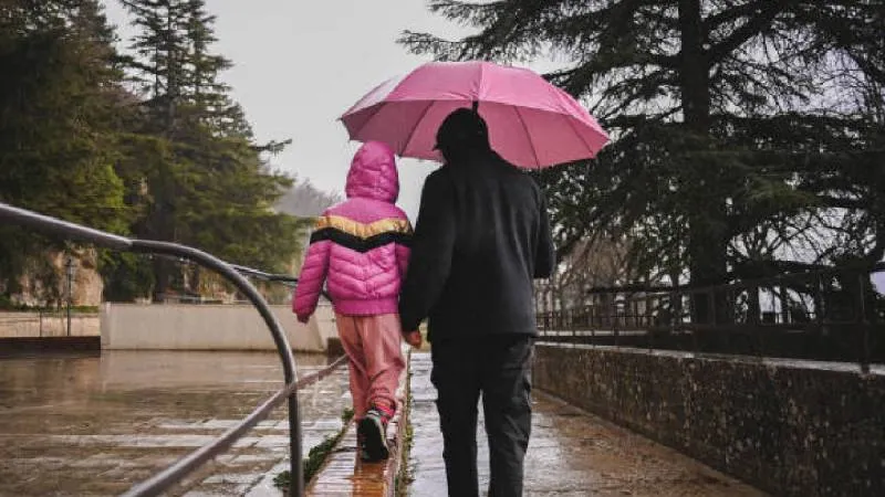 Según el SMN, las lluvias y los vientos podrían afectar transporte terrestre y marítimo, así como provocar cortes de energía eléctrica en zonas vulnerables./ Pixabay