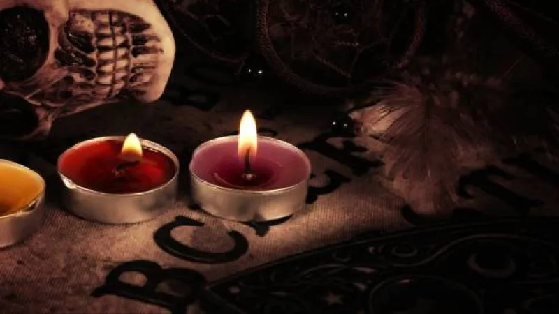 En la actualidad, estas creencias erróneas siguen afectando la seguridad de los animales./ Pixabay