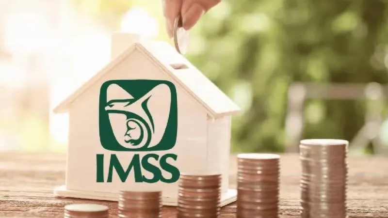 Se recomienda verificar que los datos estén correctamente registrados en el sistema del IMSS. / RS