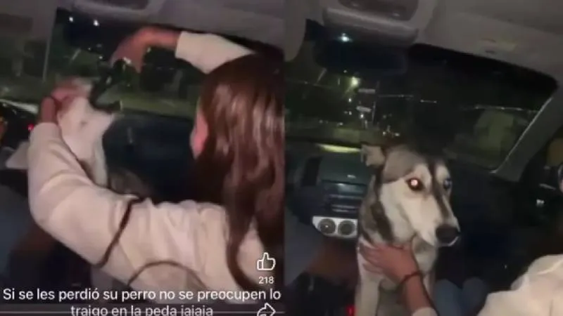 La viralización del video generó fuertes críticas en redes sociales. / Captura de pantalla