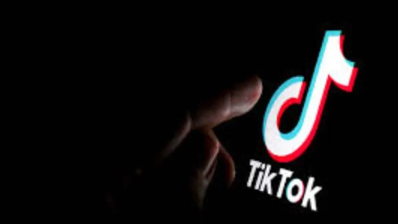Según expertos, “TikTok es el canal perfecto para los estafadores, porque tiene millones de usuarios y muy poca vigilancia”. / Pixabay