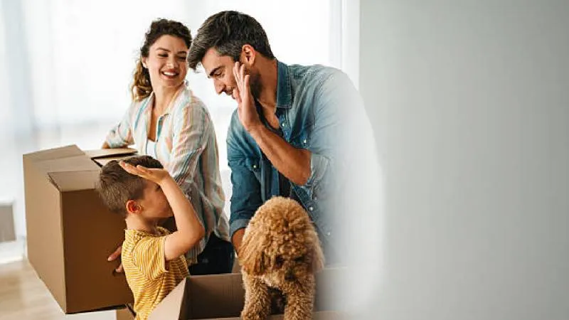 La reforma fue publicada en la Gaceta Oficial de la CDMX y ya está en vigor desde esta semana./ Pixabay