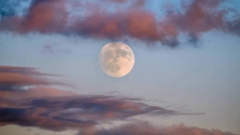 El calendario lunar de noviembre contempla cuatro fases principales: llena, menguante, nueva y creciente./ Pixabay