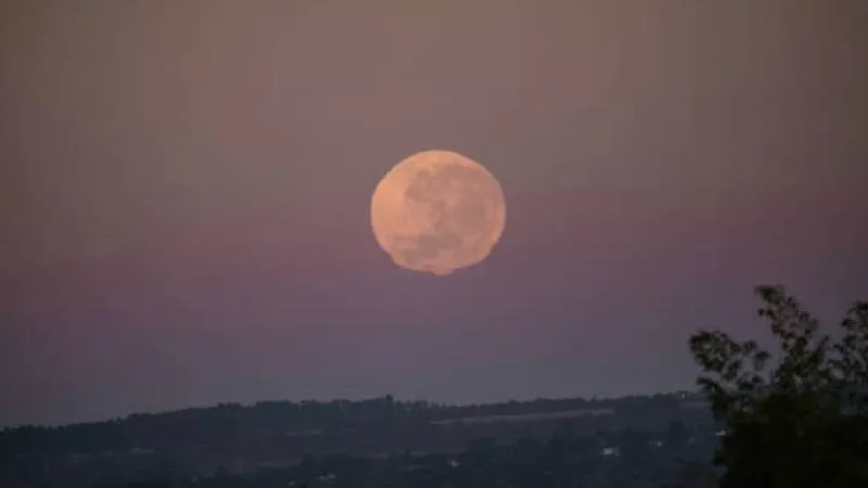 El nombre proviene de las antiguas tradiciones de Norteamérica. / Pixabay