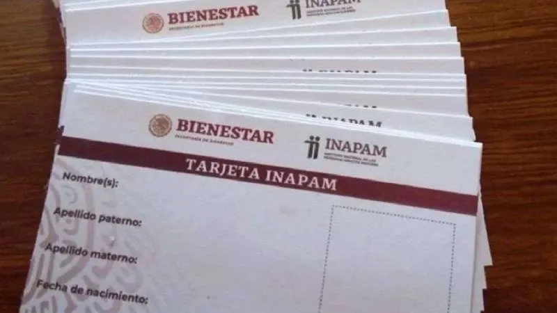 Adultos mayores acuden a módulos del INAPAM para tramitar su credencial y acceder a descuentos en todo el país. / RS