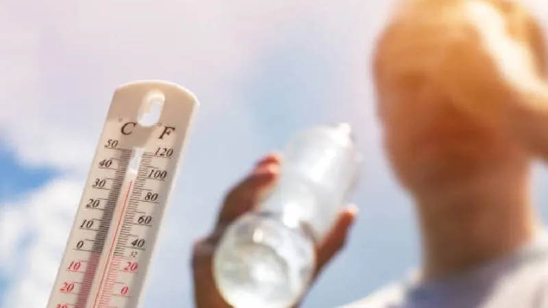 Las olas de calor, sequías e incendios se intensifican en distintas regiones del mundo como resultado del aumento histórico de las temperaturas./ Pixabay