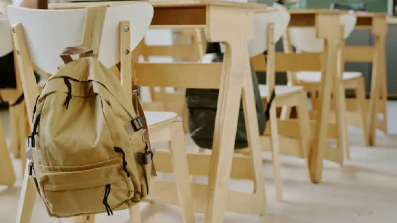 El megapuente de noviembre abarcará del viernes 14 al lunes 17, con regreso a clases el martes 18./ Pixabay