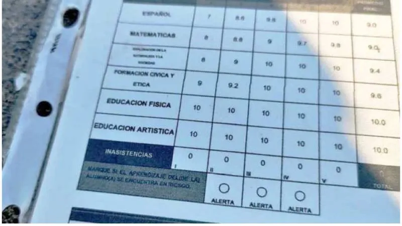 Solo necesitas la CURP del estudiante y la clave del plantel (CCT) para acceder a las calificaciones en el portal de la SEP./ RS