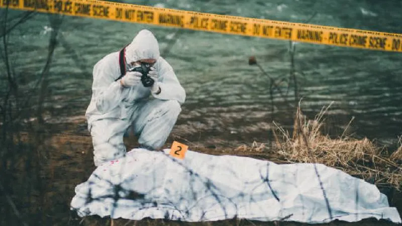 Estados como Guanajuato, Jalisco y Baja California reportaron descensos notables en los homicidios dolosos durante el último trimestre/ Pixabay