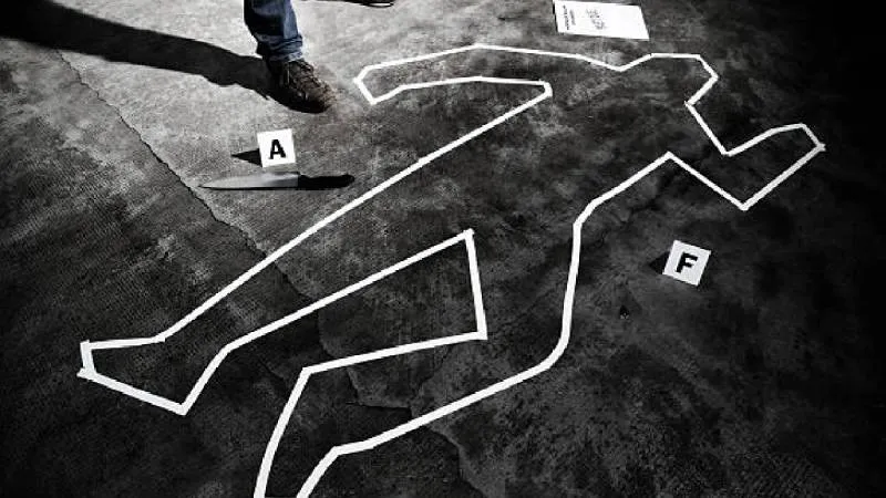 El Gabinete de Seguridad destacó que esta tendencia marca un punto de inflexión en la lucha contra la violencia en el país./ Pixabay