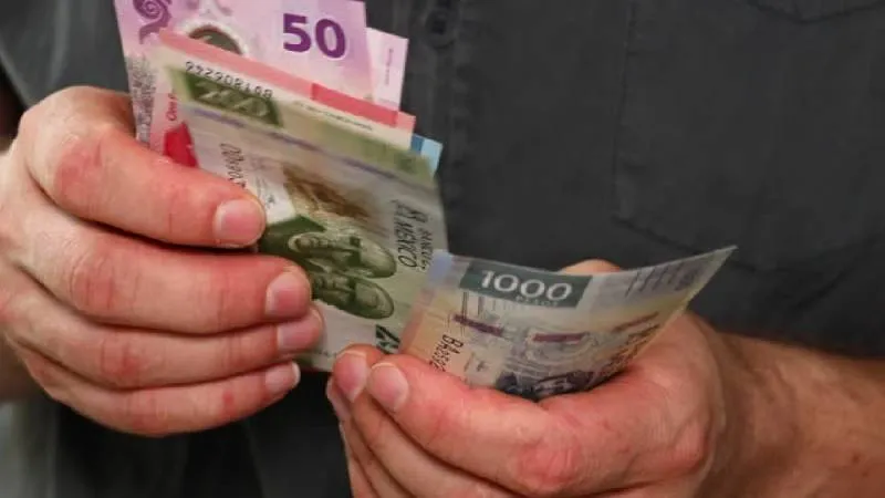 Expertos recomiendan usar el aguinaldo para liquidar deudas, ahorrar o invertir. / Pixabay