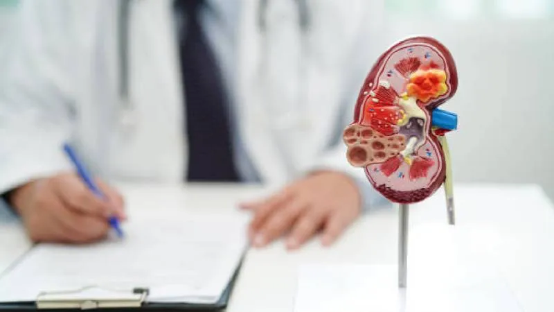 El INEGI reportó que las enfermedades del corazón siguen siendo la principal causa de muerte en México durante 2025./ Pixabay