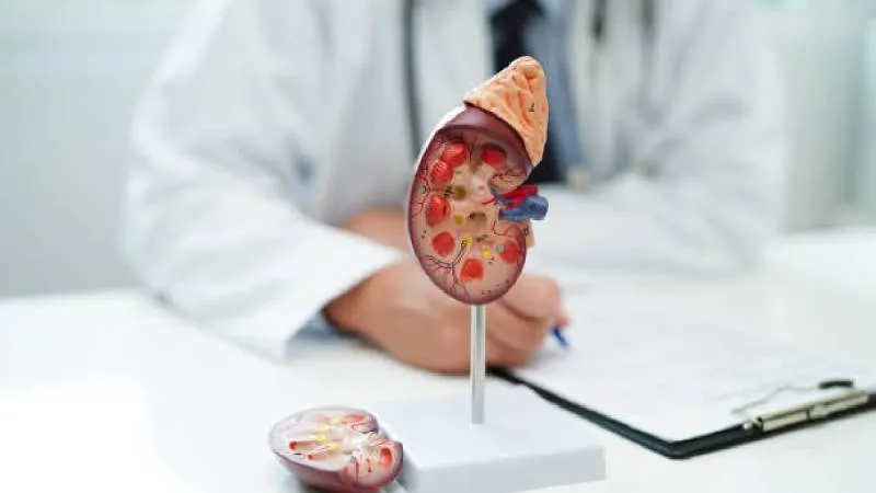 Los tumores malignos ocupan el tercer lugar en la lista de causas de defunción en el país./ Pixabay