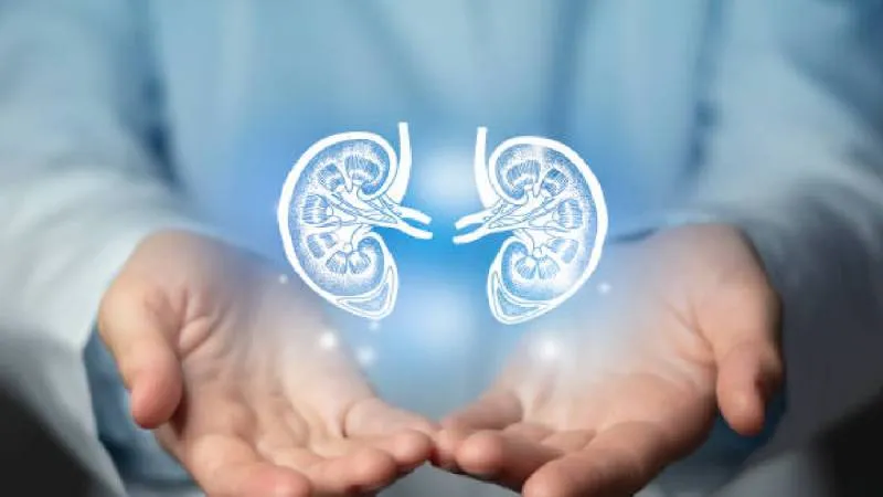 Programas como PrevenIMSS buscan fomentar hábitos saludables desde la infancia para reducir los índices de mortalidad./ Pixabay