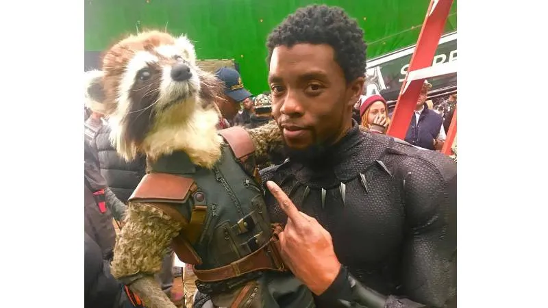 Chadwick Boseman dejó huella con papeles que trascendieron la pantalla, como T’Challa en Black Panther. / @chadwickboseman
