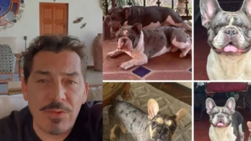 La desaparición de las mascotas ha generado una movilización en redes y en la comunidad local./ RS