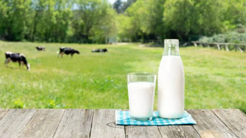 El aumento en el precio del bistec de res presionó la canasta básica durante octubre./ Pixabay