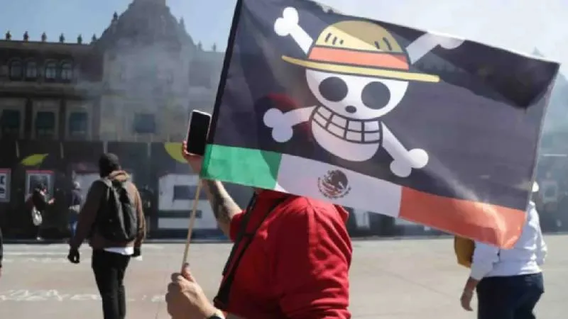 La bandera de los Sombrero de Paja ha tomado un nuevo significado en el contexto político actual./ RS