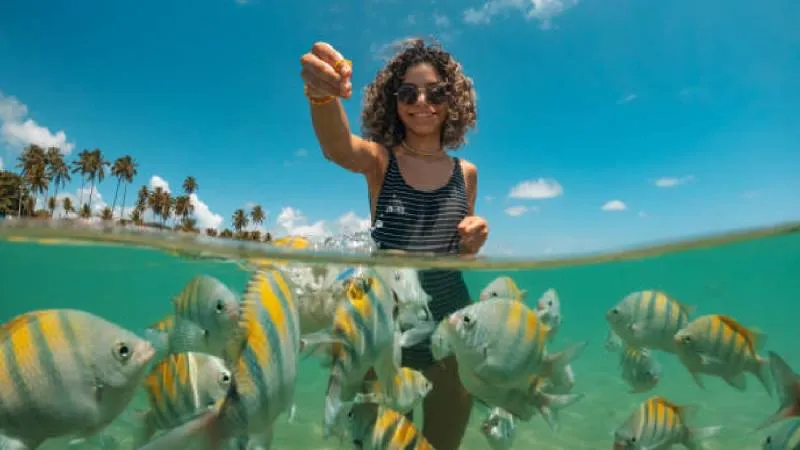 Islandia, uno de los países más pacíficos del planeta, continúa entre los destinos favoritos para 2026./ Pixabay