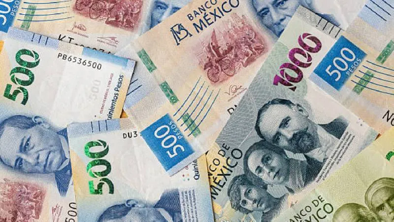 Los apoyos económicos varían entre 5 mil y 10 mil pesos, dependiendo de la gravedad del delito./ Pixabay